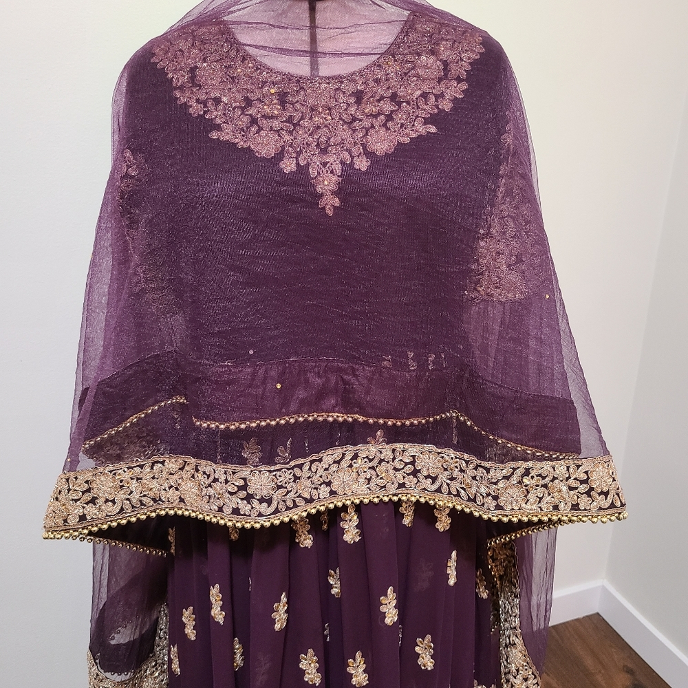 Embroidered Indian Dress - Picture 5 of 8